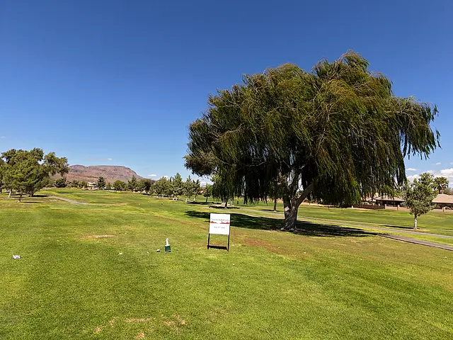 Golfers and partners on the course at the King of the Desert Classic.