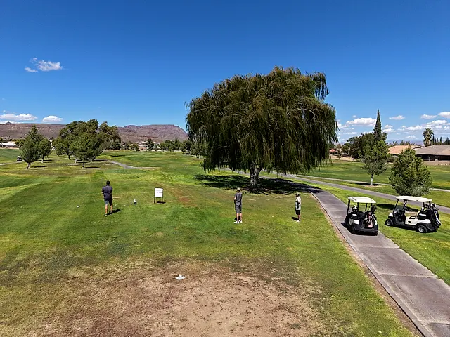 Golfers and partners on the course at the King of the Desert Classic.