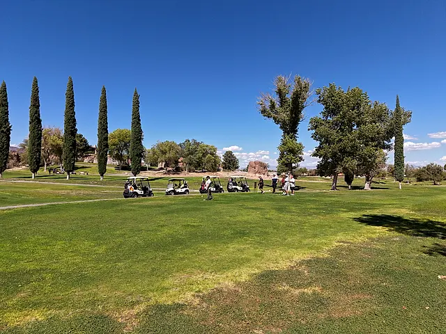 Golfers and partners on the course at the King of the Desert Classic.