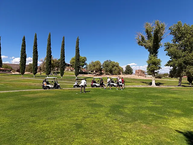 Golfers and partners on the course at the King of the Desert Classic.
