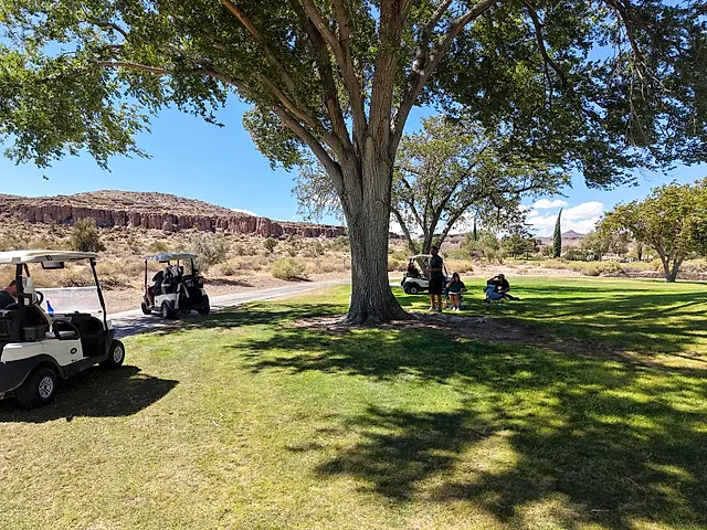 Golfers and partners on the course at the King of the Desert Classic.