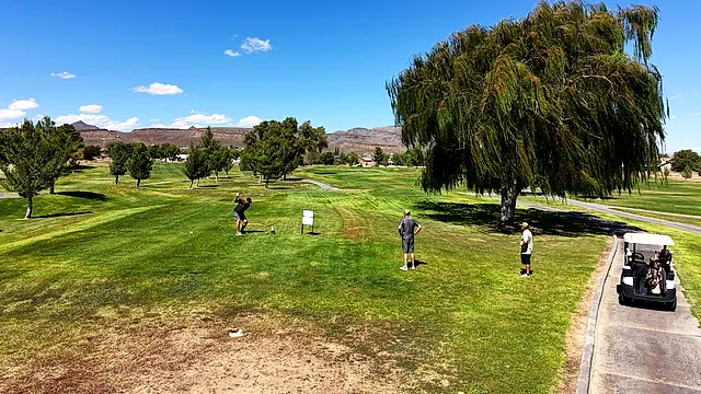 Golfers and partners on the course at the King of the Desert Classic.