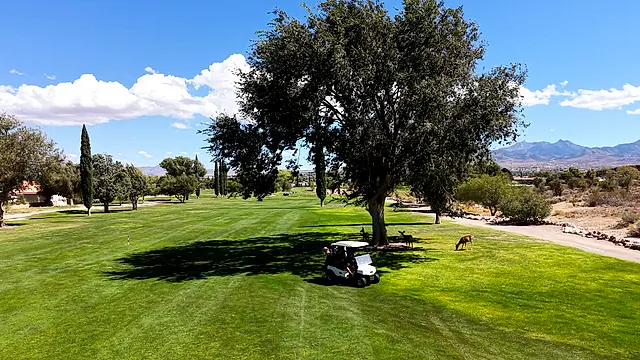 Golfers and partners on the course at the King of the Desert Classic.