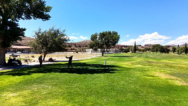 Golfers and partners on the course at the King of the Desert Classic.