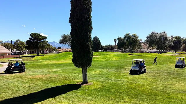 Golfers and partners on the course at the King of the Desert Classic.